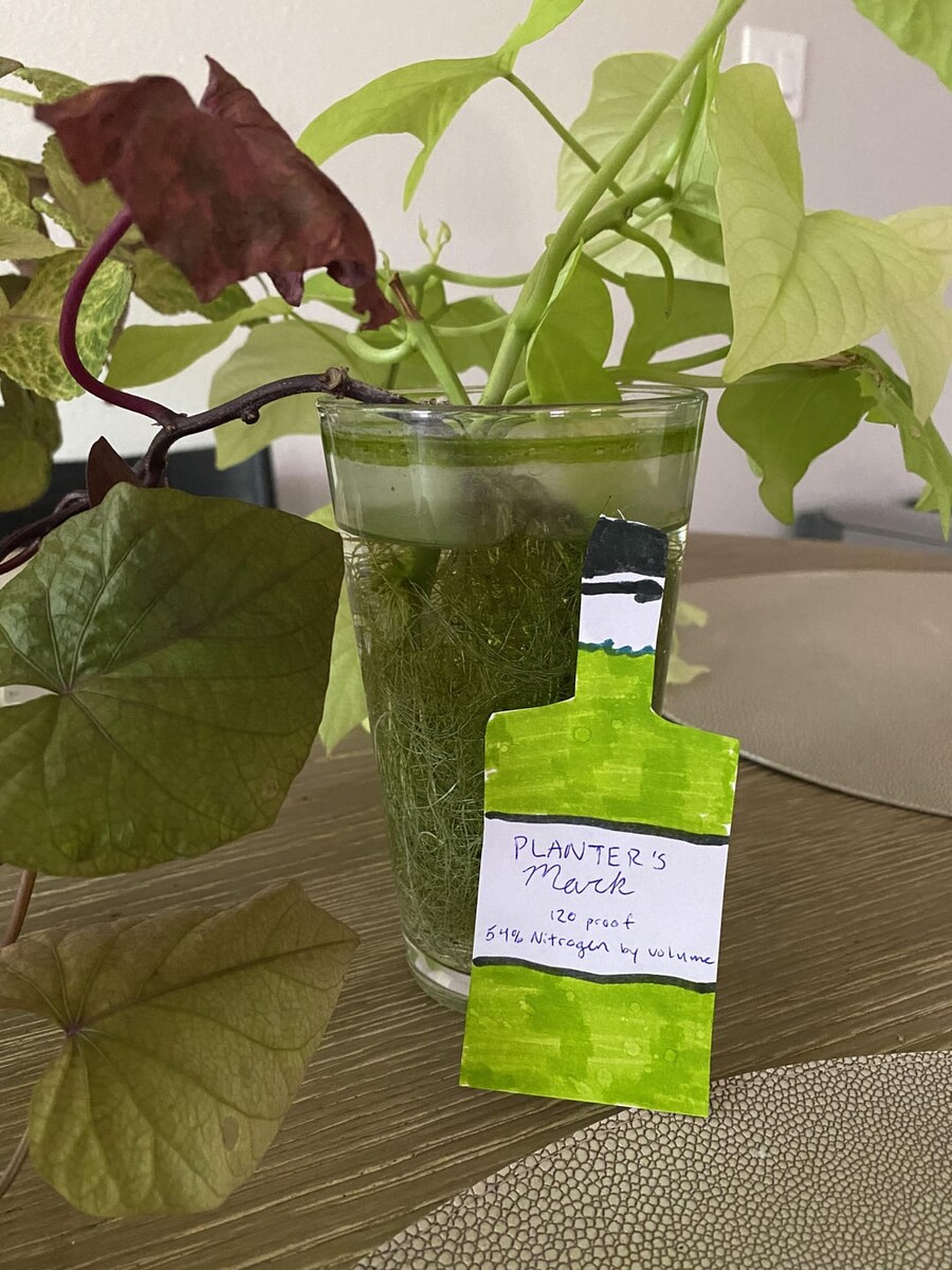 여친이 여행가는 동안 화분을 잘 봐달라고 했다.jpg_4.jpg