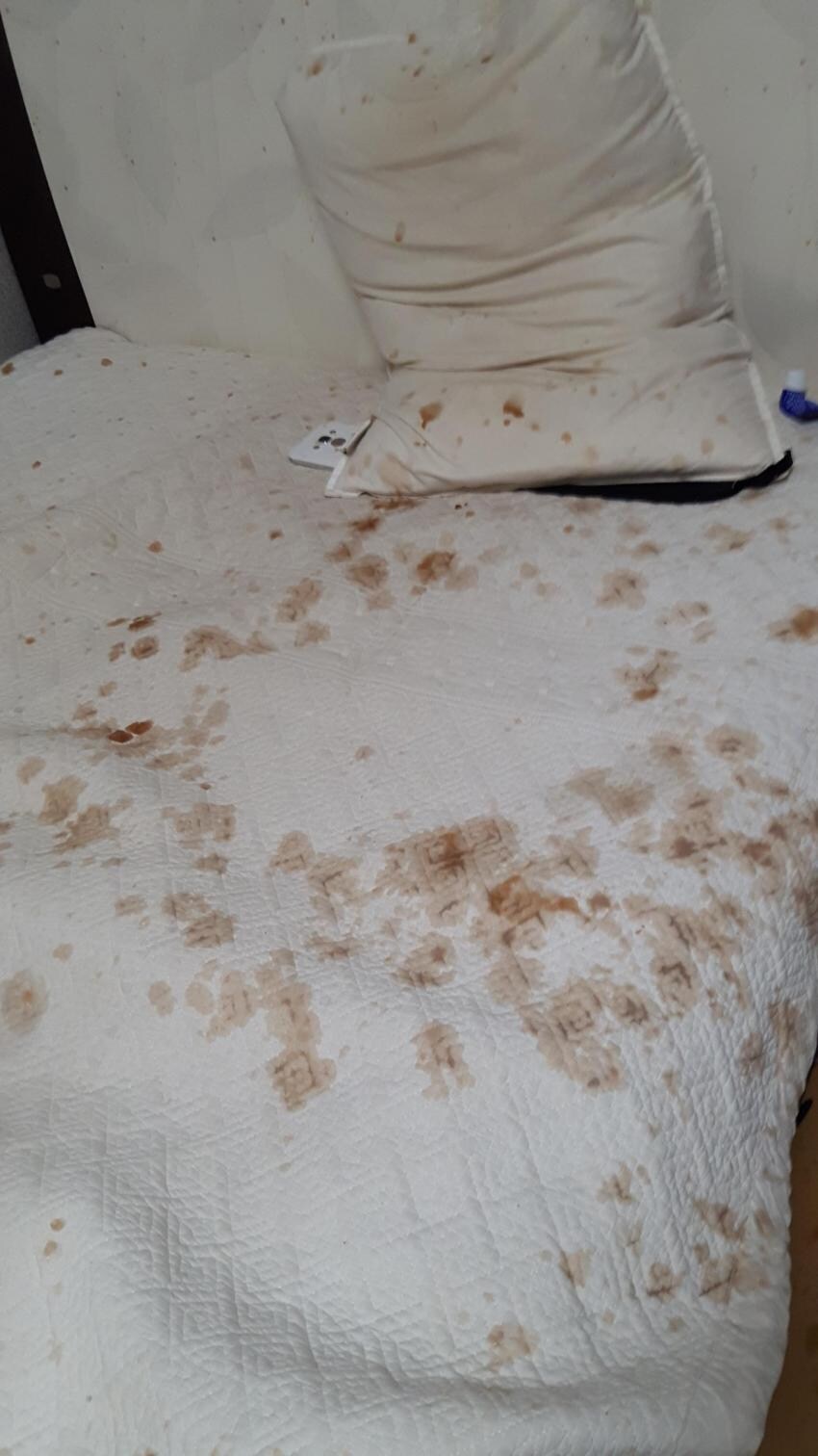 콜라 얼린걸 딴 자의 최후_2.jpg