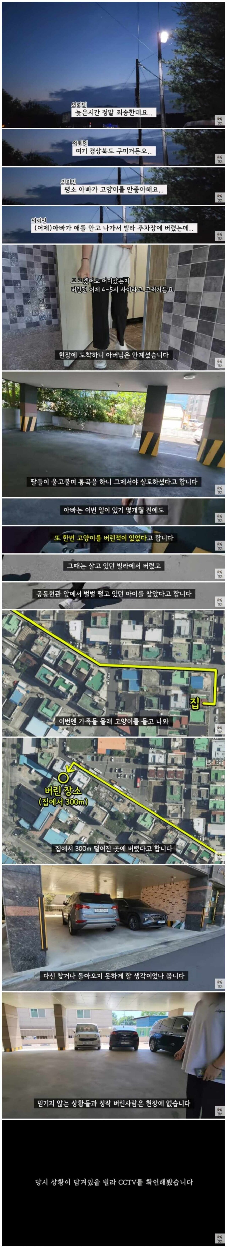 가족동의 없이 고양이를 버린 아빠._1.jpg