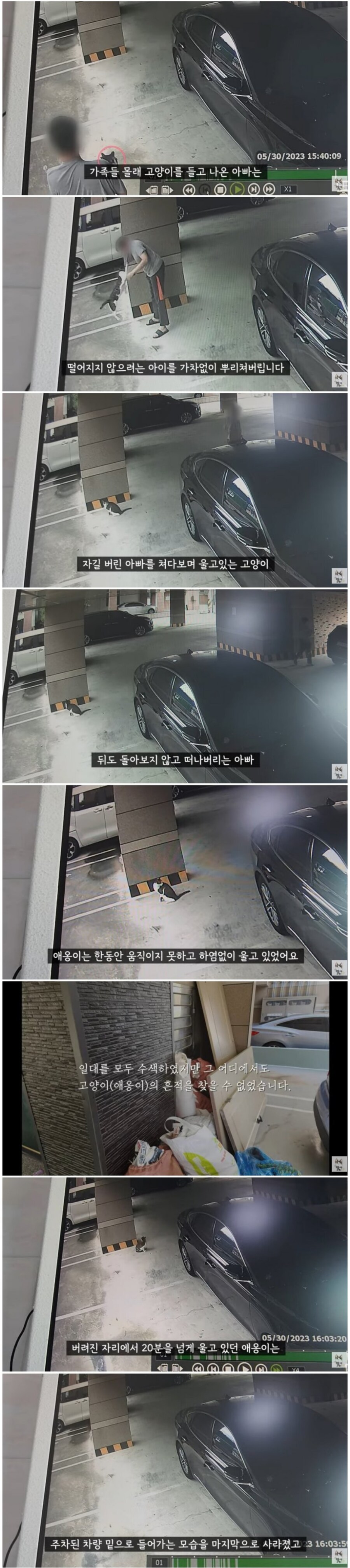 가족동의 없이 고양이를 버린 아빠._2.jpg