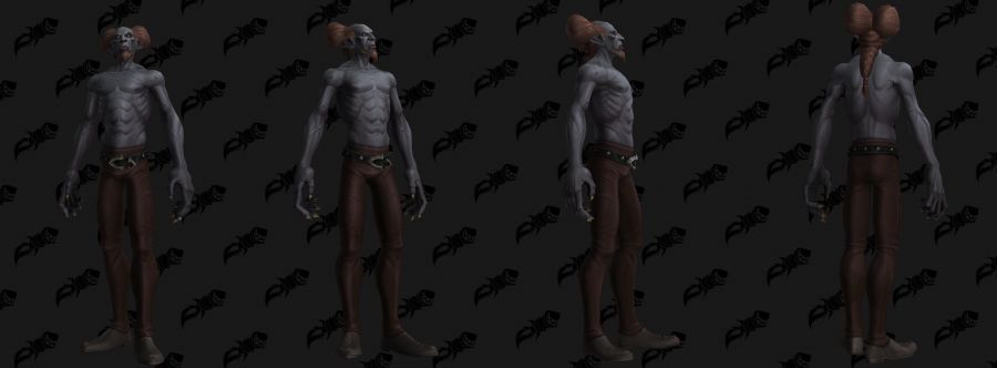 와우 20주년 유명 캐릭터로 변신 할 수 있는 NPC 모음_26.jpg