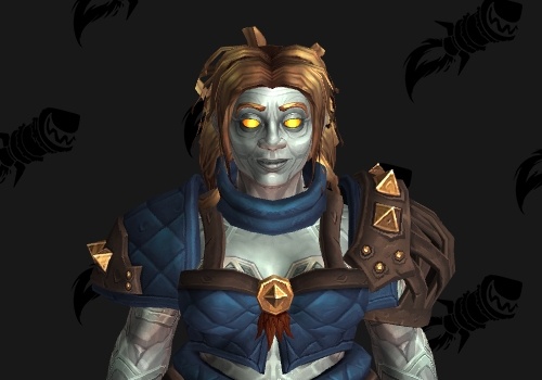 와우 내부 전쟁 신규 종족 '토석인' 방어구 및 무기 세트_23.jpg