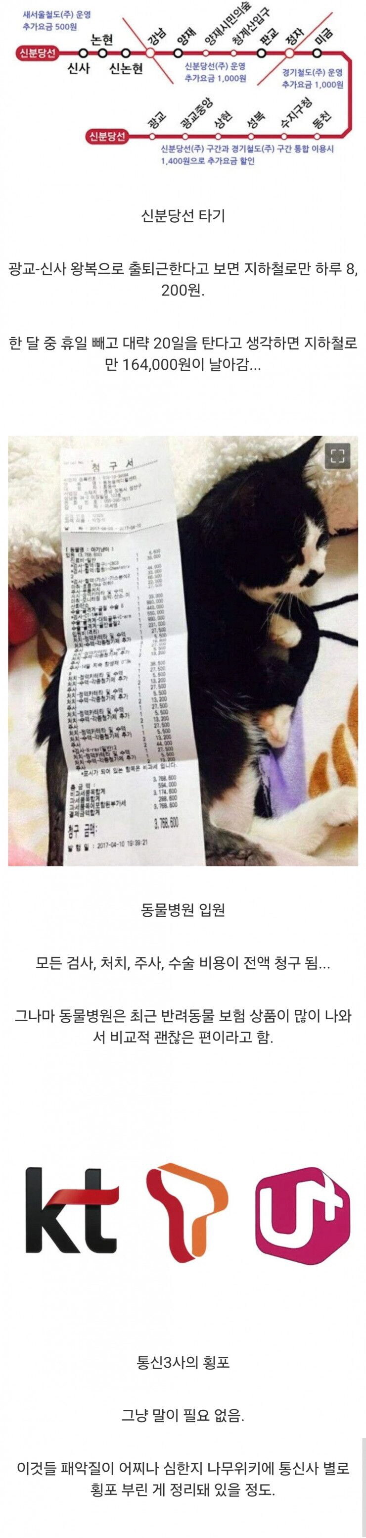 한국에서 민영화의 폐해를 체험할수 있는 곳들.jpg_1.jpg