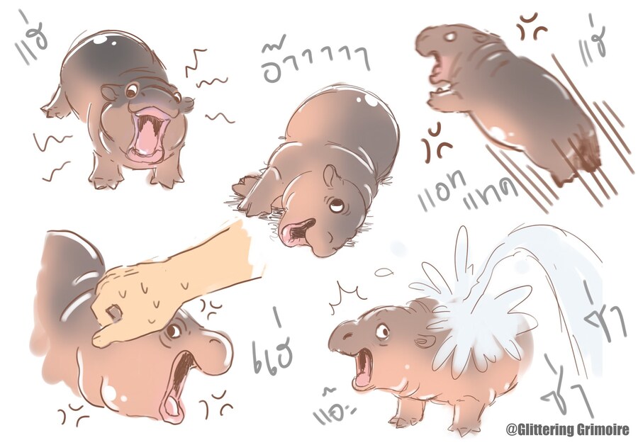 의외로 귀엽다는 아기 하마의 특징. jpg_10.jpg