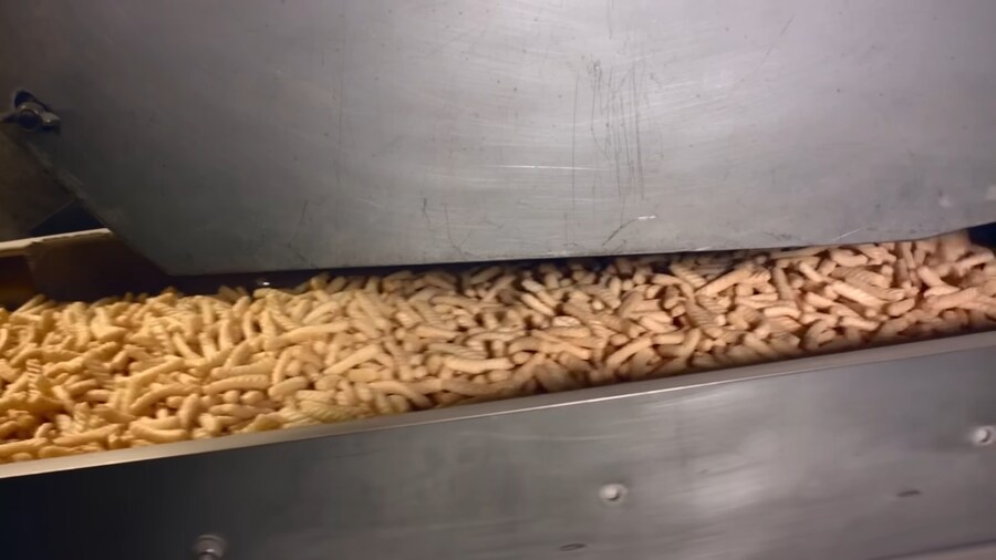 새우깡이 만들어지는 과정.jpg_13.png