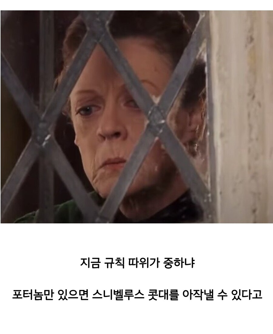 해리포터) 엄격하고 공정하신 맥고나걸 교수님_3.jpg