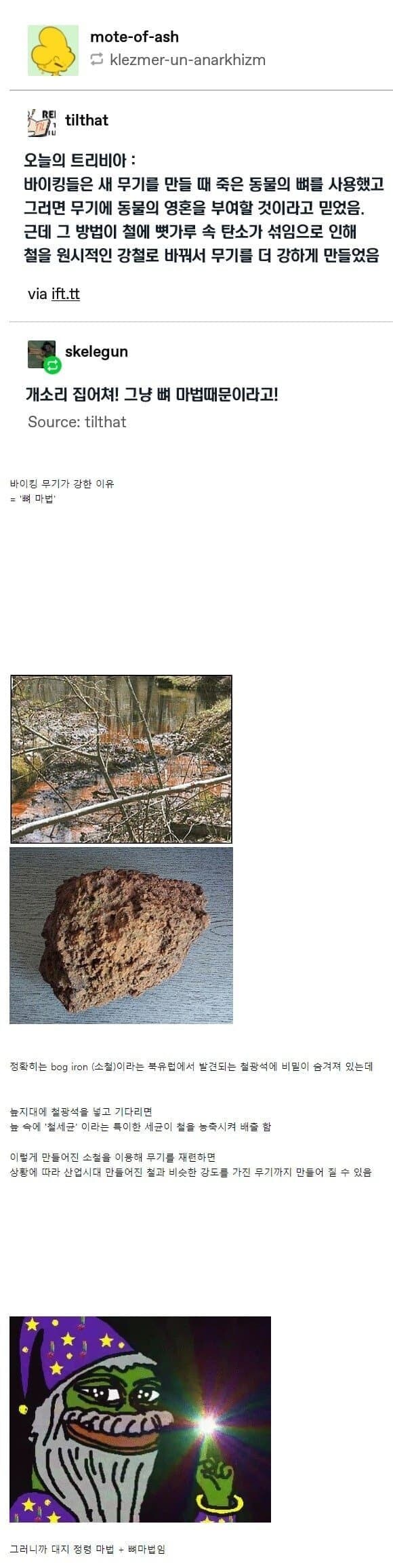 바이킹족이 썼다고 하던 마법 계통_1.jpg