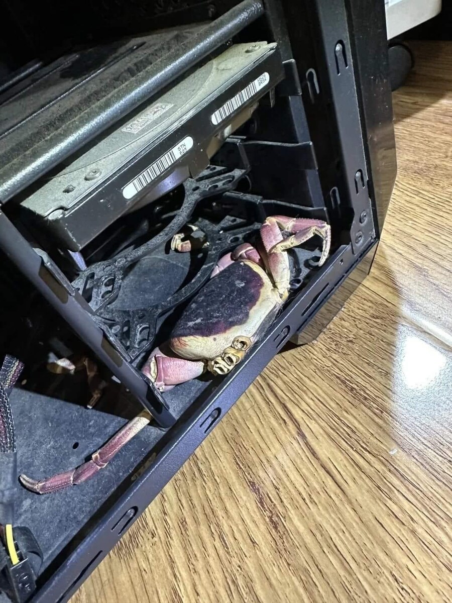 PC게임 추천 좀.._1.jpg