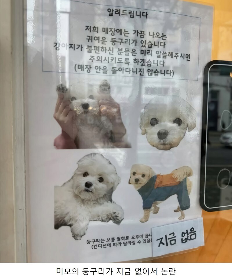 카페 강아지 논란.jpg_1.png
