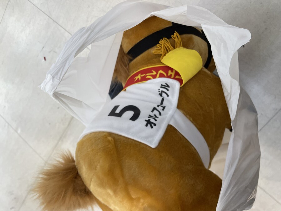 말)살짝 손해봤지만 뽑은_1.jpg