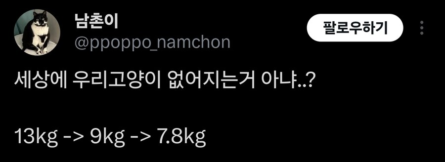 세상에서 사라지고 있는 고양이 ㄷㄷ_1.jpg