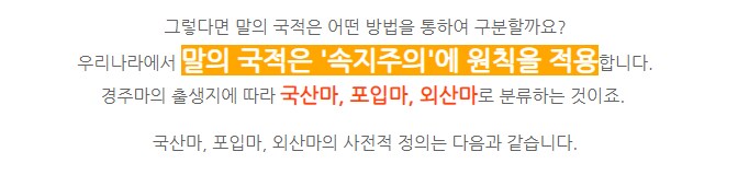 경마) 코리아컵 최초 한국 우승마에 대한 이야기 (장문)_2.png