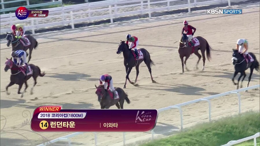 경마) 코리아컵 최초 한국 우승마에 대한 이야기 (장문)_4.jpg