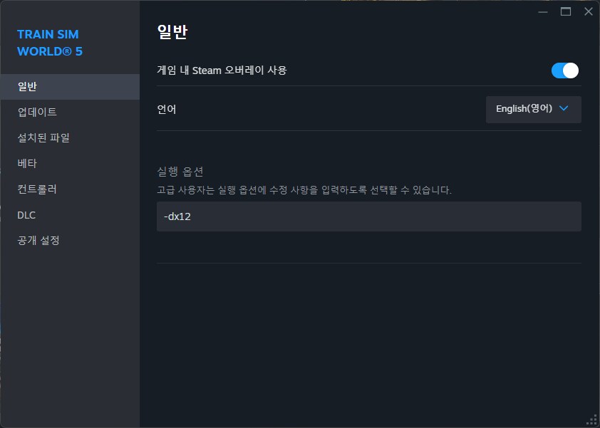 스팀PC판 다이렉트 dx12 적용방법_1.png