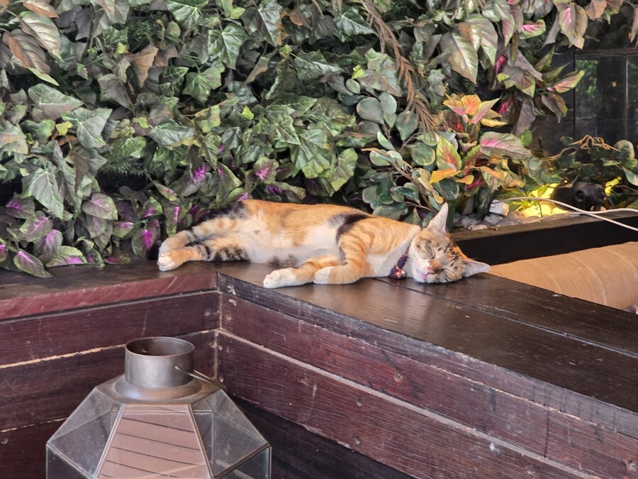 (스압 및 데이터주의!) 인도네시아 19일 여행기 자카르타&족자카르타_48.jpg