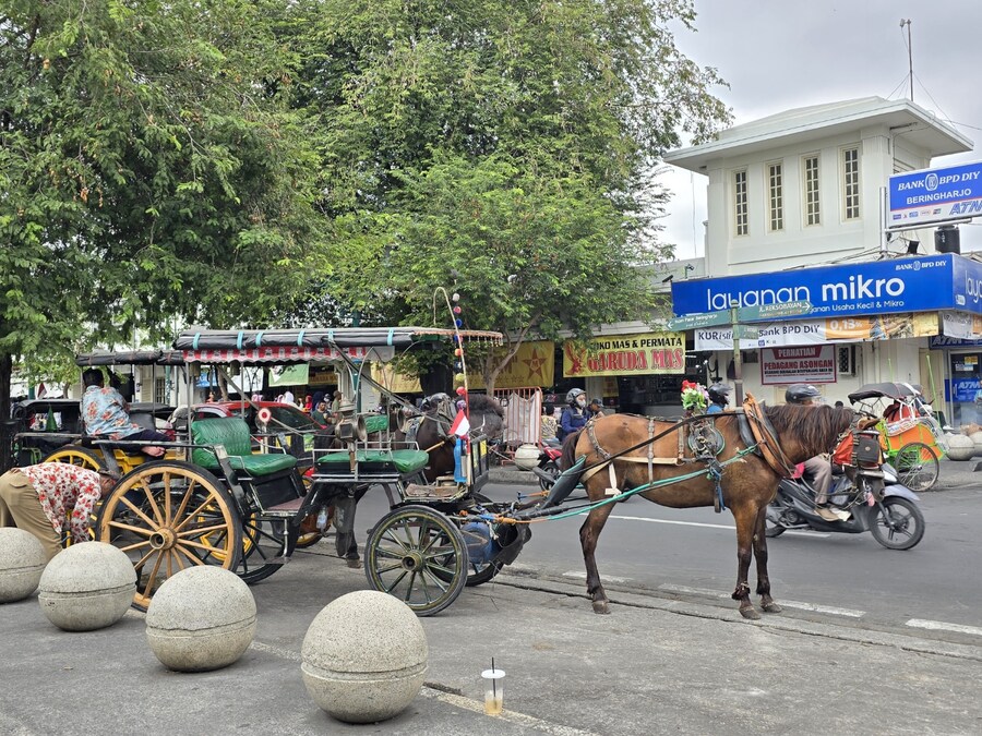 (스압 및 데이터주의!) 인도네시아 19일 여행기 자카르타&족자카르타_103.jpg