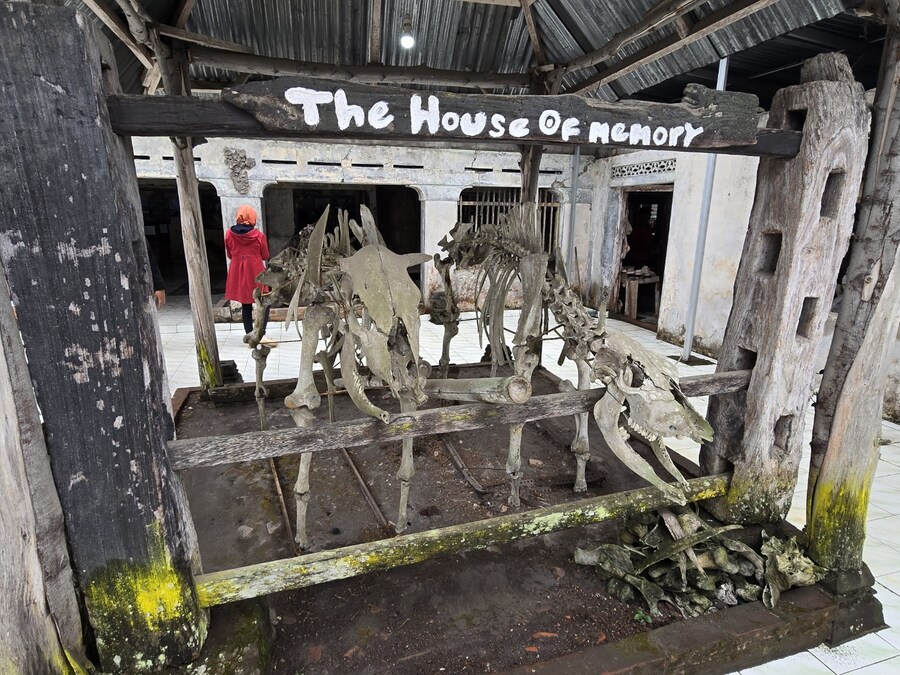 (스압 및 데이터주의!) 인도네시아 19일 여행기 자카르타&족자카르타_133.jpg