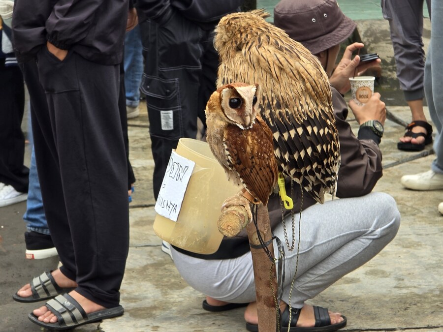 (스압 및 데이터주의!) 인도네시아 19일 여행기 자카르타&족자카르타_142.jpg
