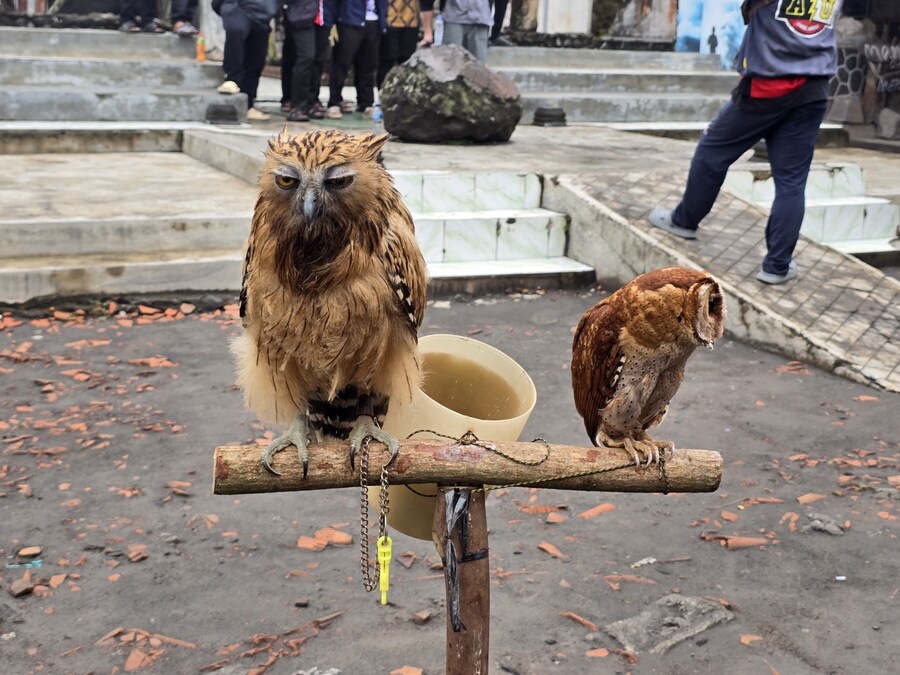 (스압 및 데이터주의!) 인도네시아 19일 여행기 자카르타&족자카르타_146.jpg