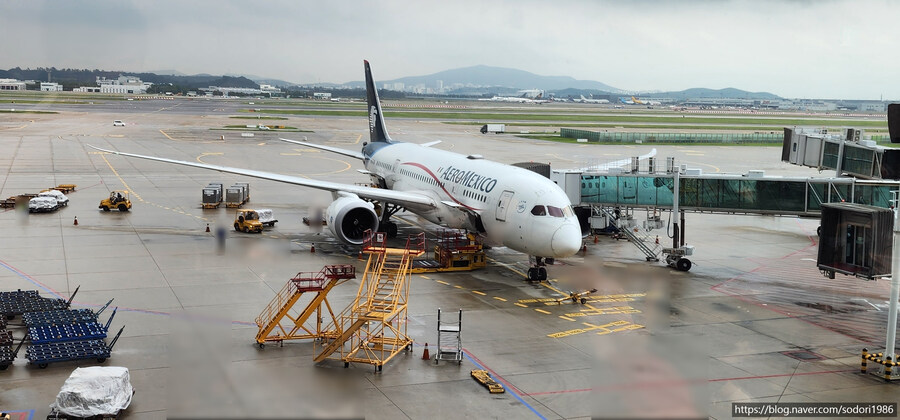 아에로멕시코를 타고 멕시코시티를 구경하고 왔습니다.(사진 30장)_2.jpg