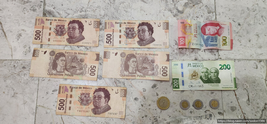 아에로멕시코를 타고 멕시코시티를 구경하고 왔습니다.(사진 30장)_9.jpg