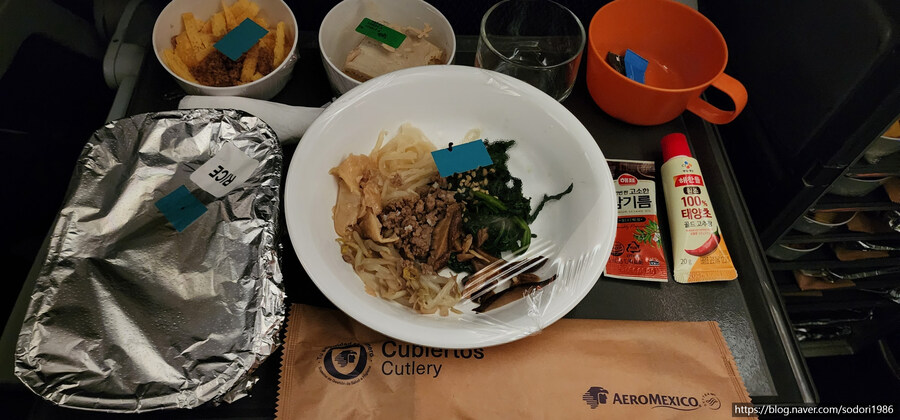 아에로멕시코를 타고 멕시코시티를 구경하고 왔습니다.(사진 30장)_27.jpg