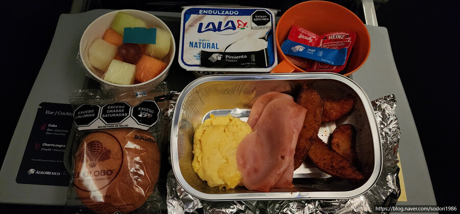 아에로멕시코를 타고 멕시코시티를 구경하고 왔습니다.(사진 30장)_29.jpg