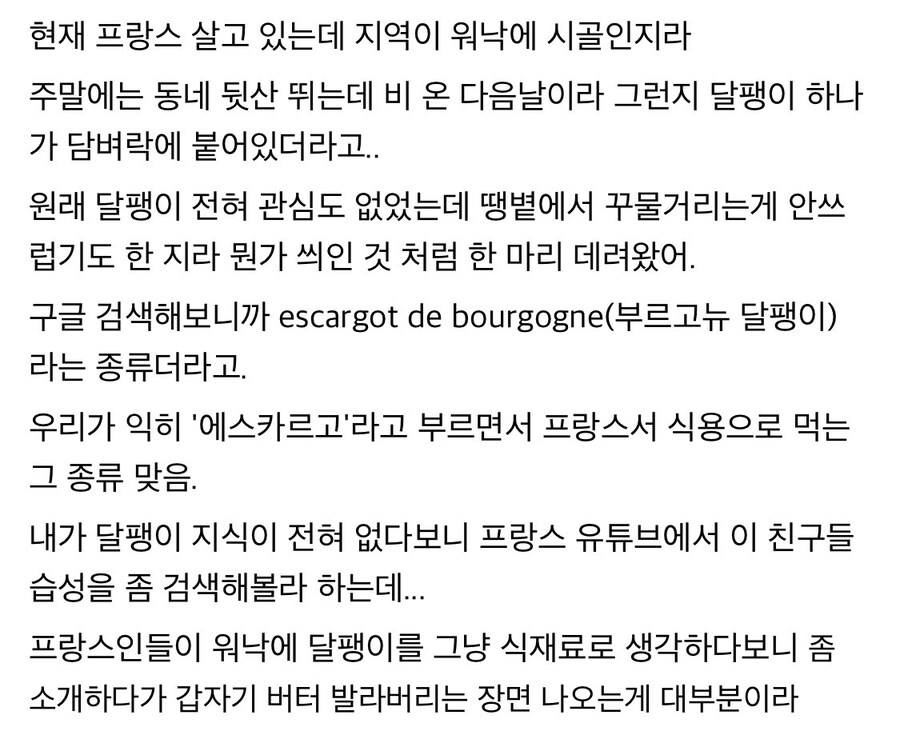 프랑스에서 달팽이에 대해 알아보기 힘든 이유.jpg_1.jpg