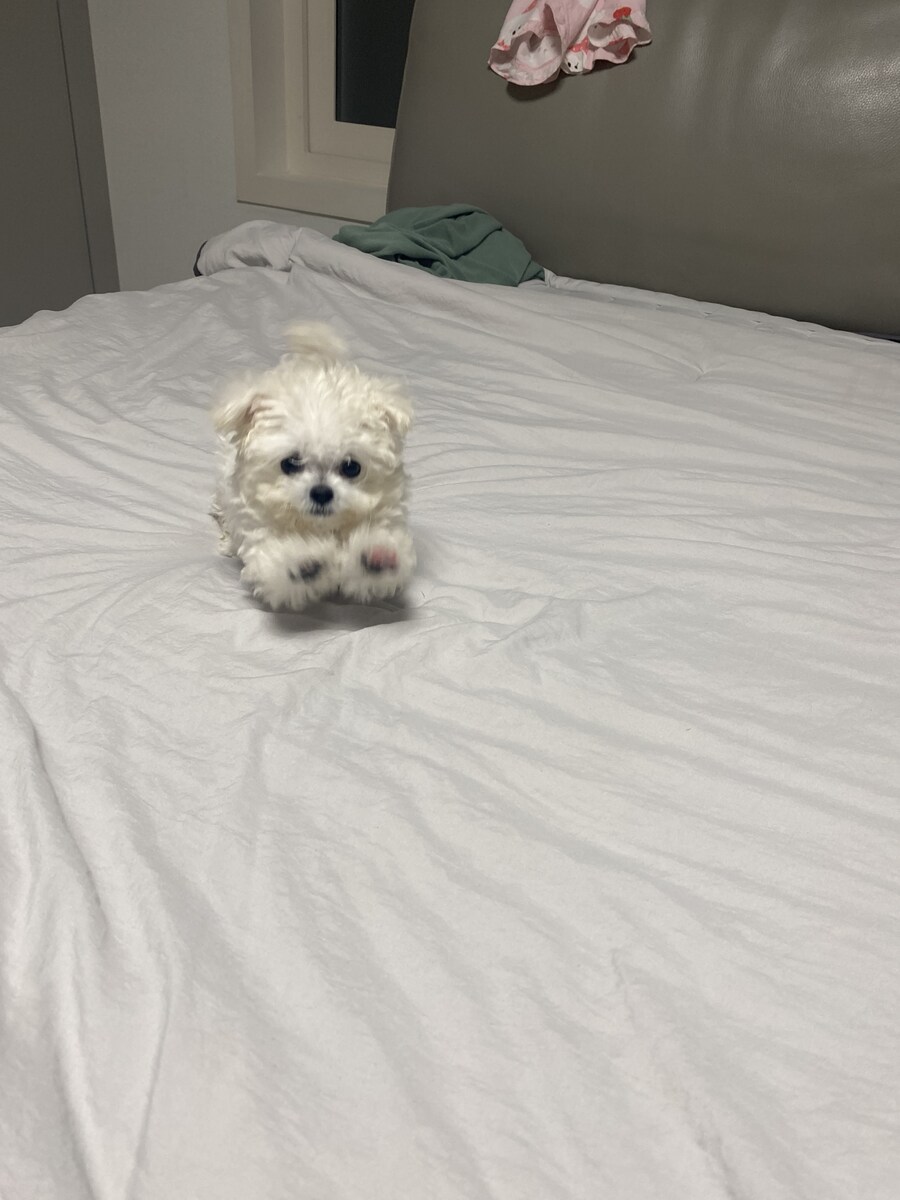 드디어 점령했다._2.jpg