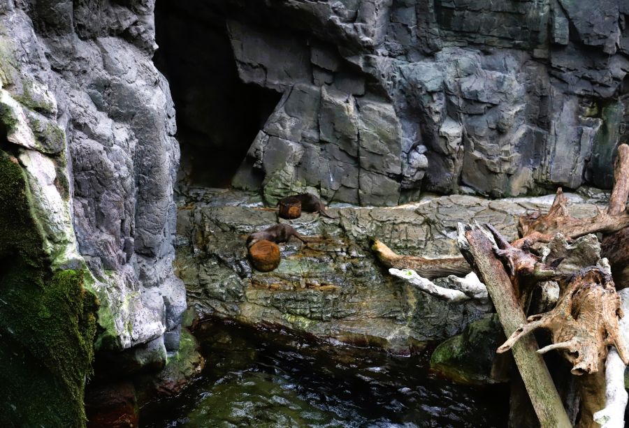 10박11일 오사카 교토 여행1(스압)_14.jpg