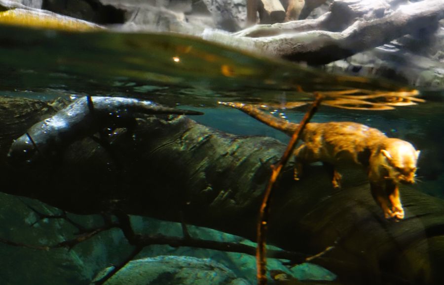 10박11일 오사카 교토 여행1(스압)_19.jpg