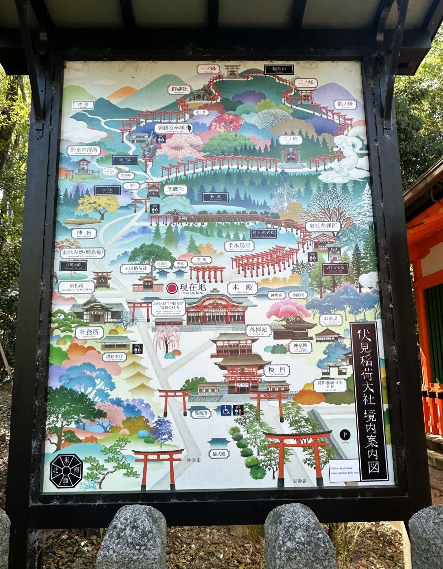 10박11일 오사카 교토 여행5_17.jpg