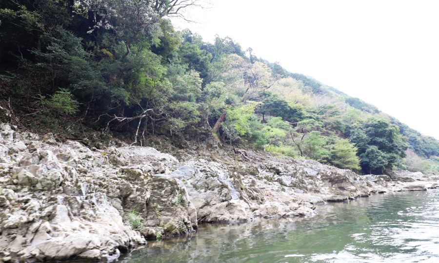 10박11일 오사카 교토 여행8(스압)_20.jpg