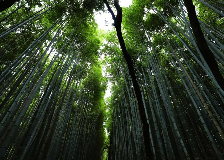 10박11일 오사카 교토 여행8(스압)_52.jpg