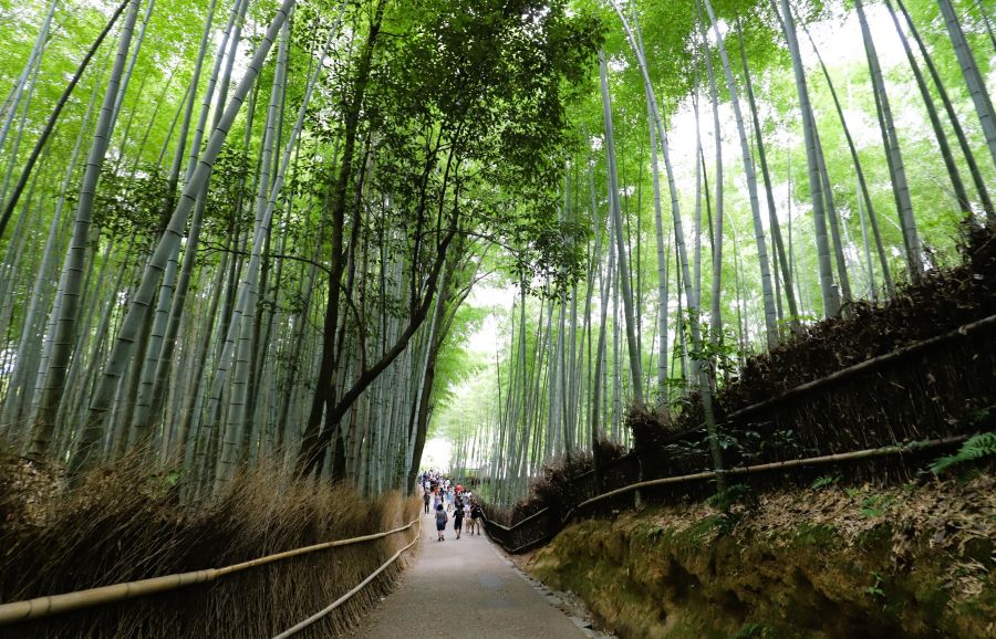 10박11일 오사카 교토 여행8(스압)_54.jpg