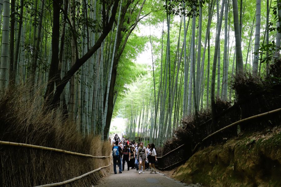 10박11일 오사카 교토 여행8(스압)_55.jpg