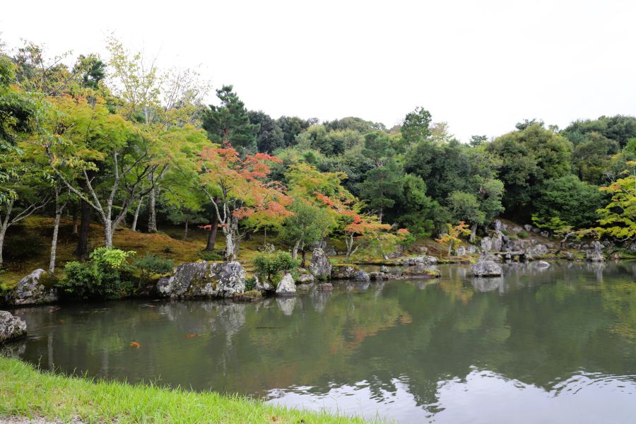 10박11일 오사카 교토 여행8(스압)_59.jpg