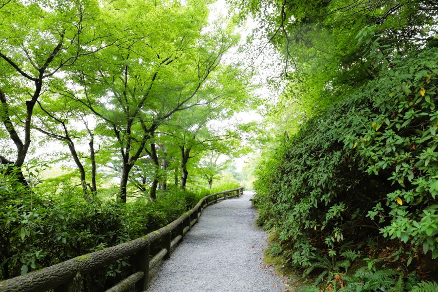 10박11일 오사카 교토 여행8(스압)_67.jpg