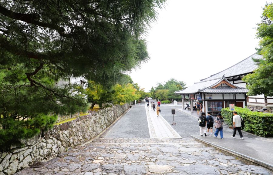 10박11일 오사카 교토 여행8(스압)_71.jpg