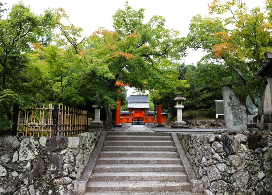 10박11일 오사카 교토 여행8(스압)_72.jpg