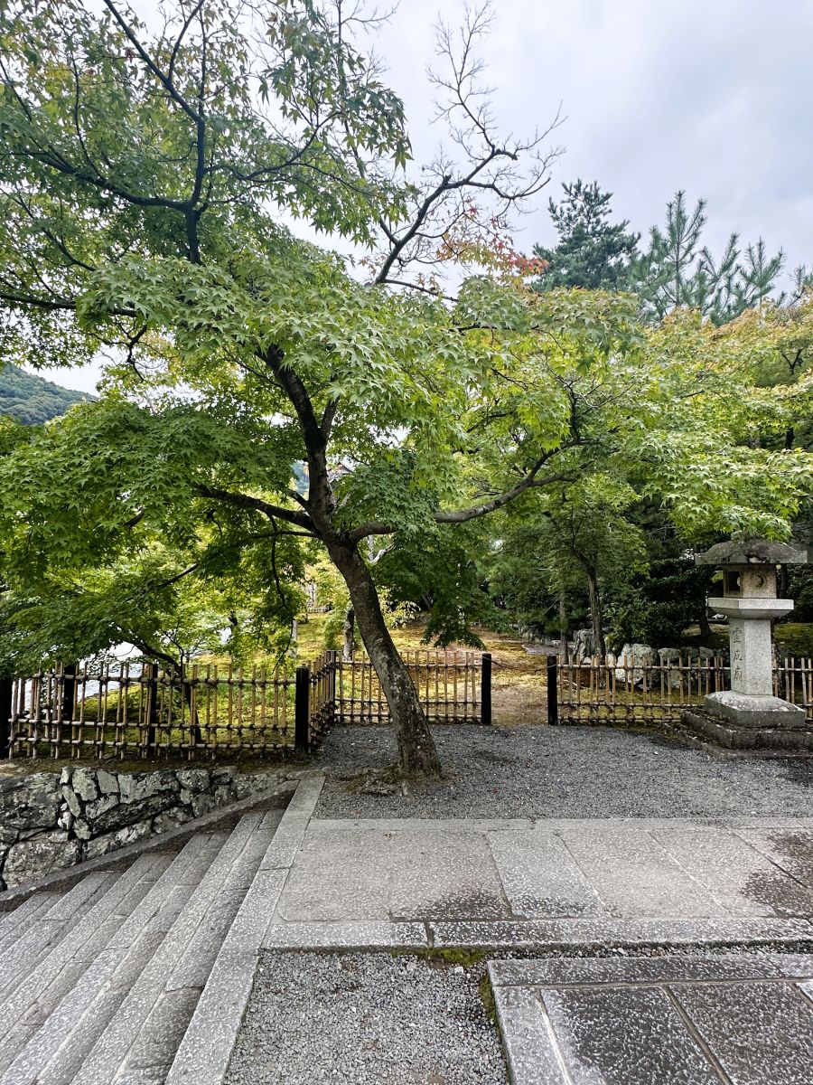 10박11일 오사카 교토 여행8(스압)_74.jpg