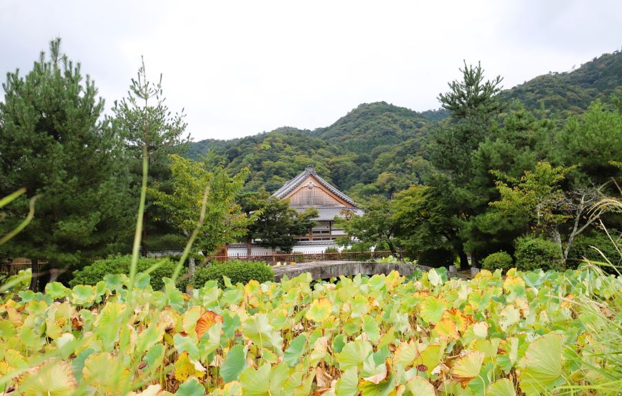 10박11일 오사카 교토 여행8(스압)_77.jpg