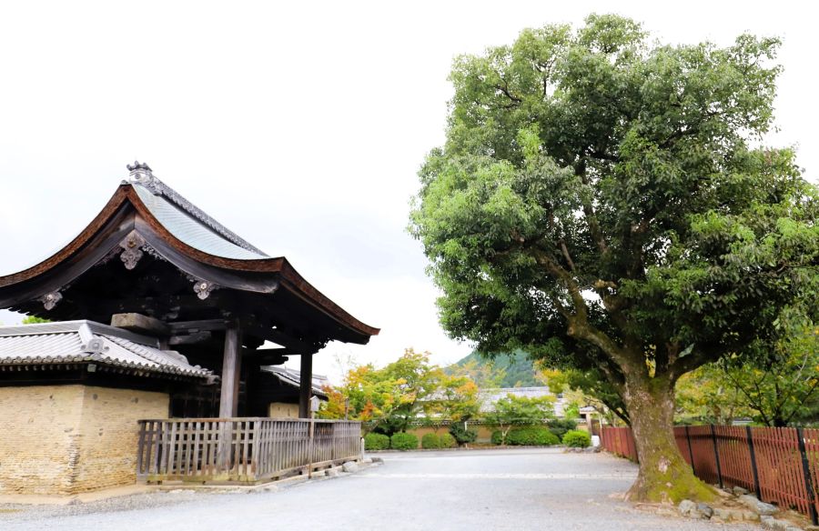 10박11일 오사카 교토 여행8(스압)_78.jpg