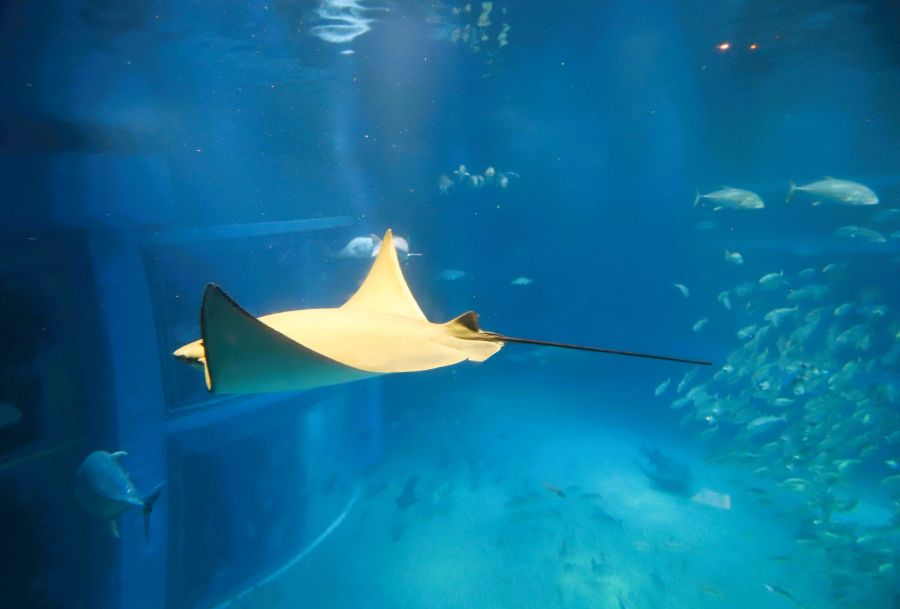 10박11일 오사카 교토 여행1(스압)_22.jpg