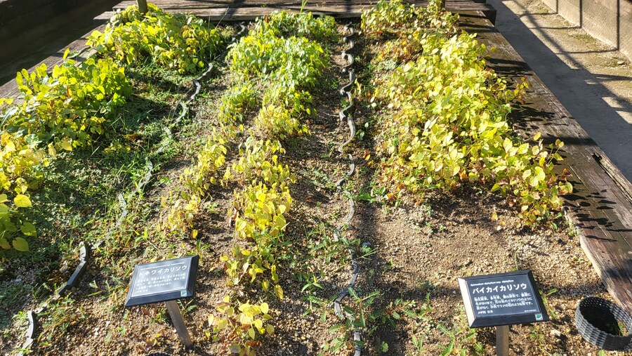 오사카 간사이 여행(2024.09.22~09.27) 5~6일차 -完- (스압)_42.jpg