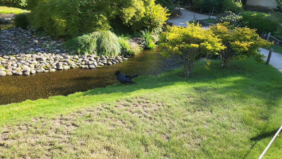 오사카 간사이 여행(2024.09.22~09.27) 5~6일차 -完- (스압)_45.jpg