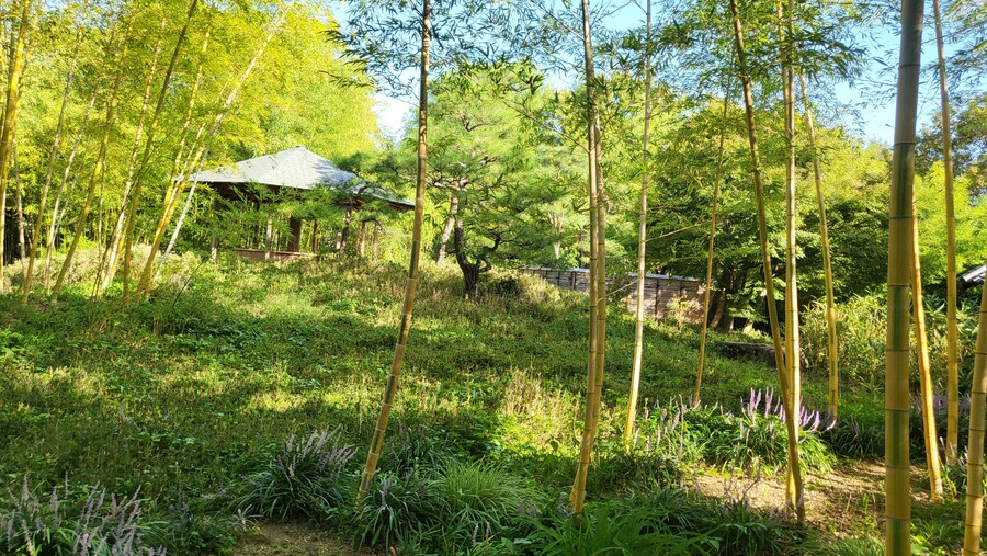 오사카 간사이 여행(2024.09.22~09.27) 5~6일차 -完- (스압)_46.jpg