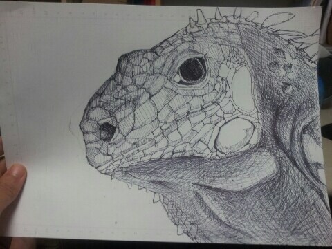 (스압주의) 제가 그린 동물 그림 올려봅니다_2.jpg