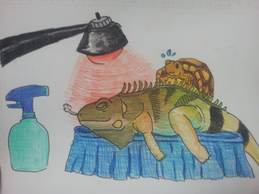 (스압주의) 제가 그린 동물 그림 올려봅니다_14.jpg