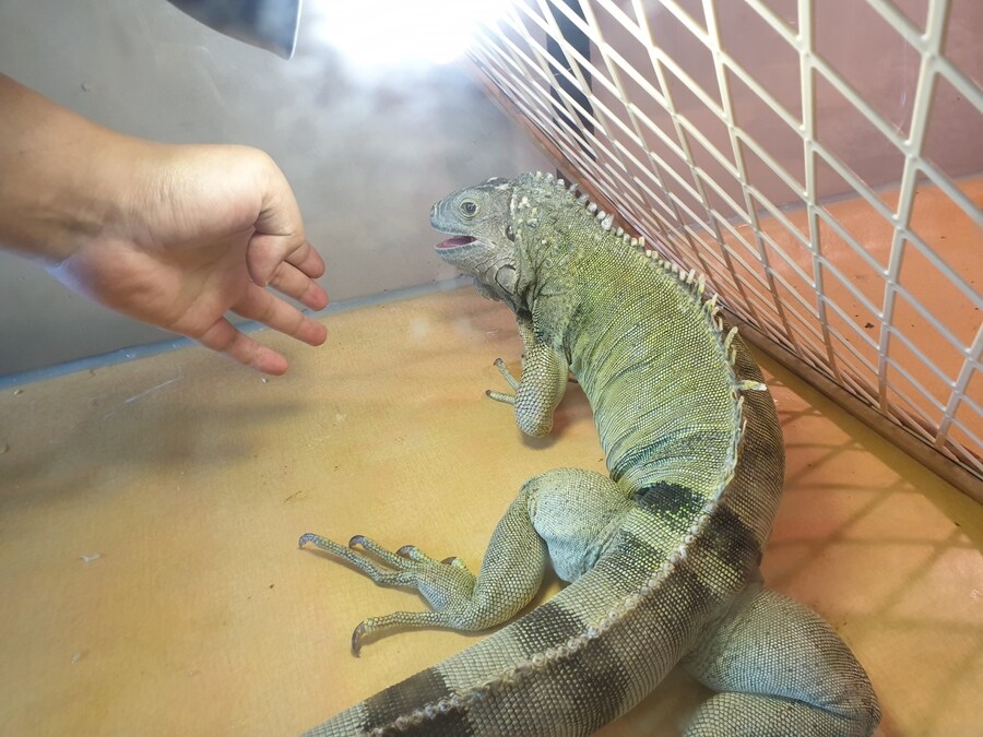 (스압주의) 제가 그린 동물 그림 올려봅니다_128.jpg